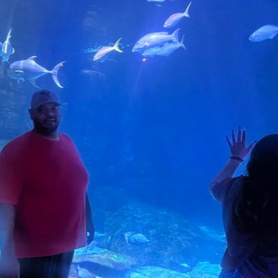 KMosley29's profile picture.
