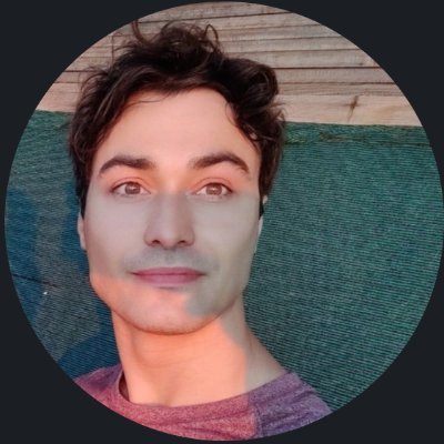detommaso_g's profile picture. AI Research at @HelsingAI. Ex @AWS. PhD in Statistical Applied Mathematics.
