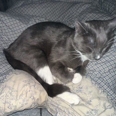 unemontrealaise's profile picture. 