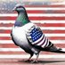 PP (@pudgy_pigeon) Twitter profile photo PP (@pudgy_pigeon) Twitter profile photo