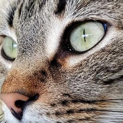 maaplof's profile picture. Familia, naturaleza, animales y fotografía, lo que necesito para ser feliz.