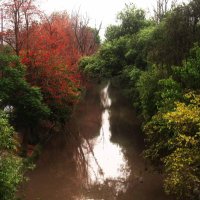 I. (@ismsgallery) 's Twitter Profile