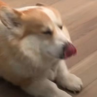 Wen54777164's profile picture. I’m Wen
