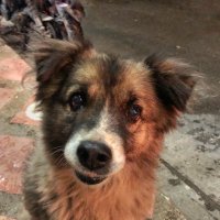 Mariaa (@paulinamaaaria) 's Twitter Profile