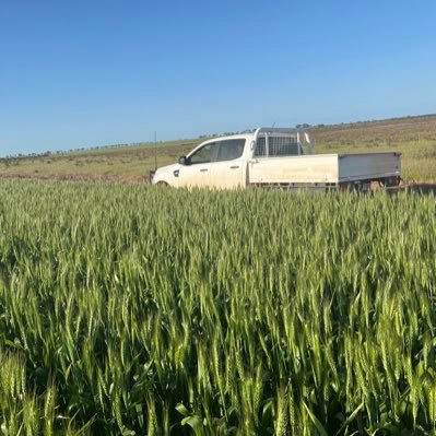 Elders agronomist working in the Upper Great Southern region of WA. Part-time on the family farm