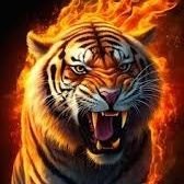Clip-Never-Seen (@never_seen_clip) 's Twitter Profile Photo Clip-Never-Seen (@never_seen_clip) 's Twitter Profile Photo