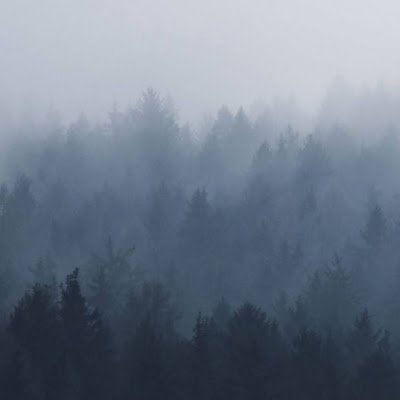 YuanyueChe53409's profile picture. 