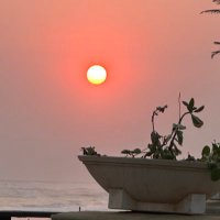 MVM (@monicavaldesmac) 's Twitter Profile