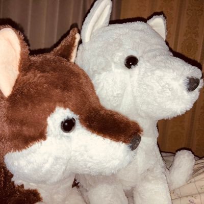 J888watch's profile picture. デンジ君はさ 田舎のツイッタラーと都会のツイッタラー、どっちがいい?