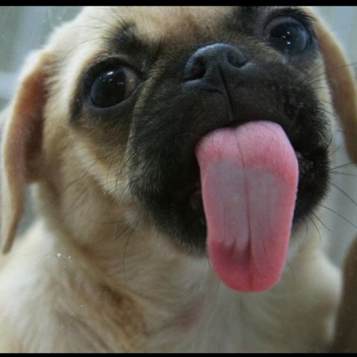 Marissa_Gallo's profile picture. Family, friends, love, laughter, good food and good sex ;) #life