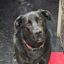 Beth Duke - @BethNic61741473 - Twitter