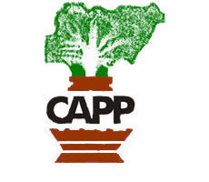 cappcommunity's profile picture. Community Action for Popular Participation is a Non-Profit organization committed to Good governance, Human Right, Gender, Education issues.
