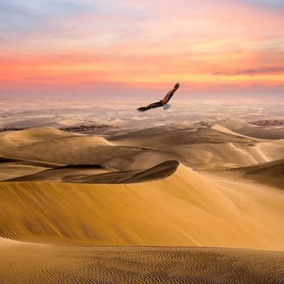 zuo_yi73691's profile picture. ｜原创绿色博主｜小佐伊31，努努34｜不媚黑不辱华｜ 禁止种族歧视｜黑人当工具人｜#加小佐伊门槛555！｜#绿奴 #调教 #群p #bbc #gangbang #sharemywife。