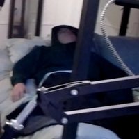 Veo (@veo_cc) 's Twitter Profile