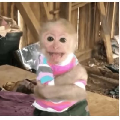 vancouveryangm's profile picture. 