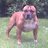 Harvey_Parvey's profile image