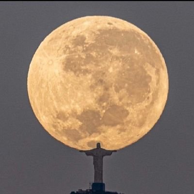 NElaheeboc72988's profile picture. 