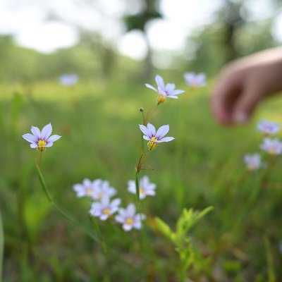mjunko911's profile picture. https://t.co/MIhCJYo3pC ♡ちょっとよりみちブログ♡  日々の生活に、ちょっとしたワクワクや彩りを。お出かけや商品の情報をシェアしています♪