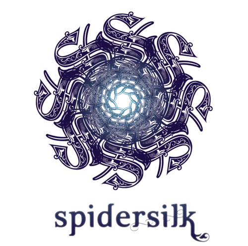 Spidersilksound's profile picture. Explorer, court jester, mad scientist. I also like teh musics. Weaving it all together, some days more seamlessly than others.
http://t.co/hh4Ez0YWJQ