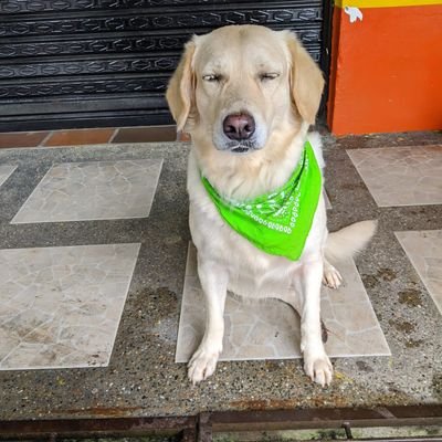 MAURICIOLP14's profile picture. 