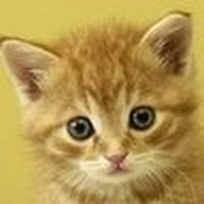 Isra_1602's profile picture. 