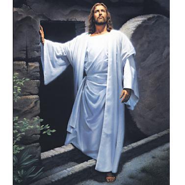 Yesu_Party's profile picture. 