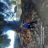 Kurebwa J Nomboka (@knomboka) 's Twitter Profile Photo Kurebwa J Nomboka (@knomboka) 's Twitter Profile Photo