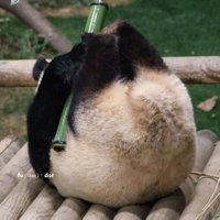 푸공 (@studywithfu) 's Twitter Profile