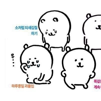 IonBythos's profile picture. 자기만족용 계정/18↑/No minors pls/미자 블락/FUB 서로 Free/스포일러 주의/성인 표기 없는 계정 수시로 정리/팔로 비추/접률 매우 낮음
블언블 실수 죄송합니다 🥹