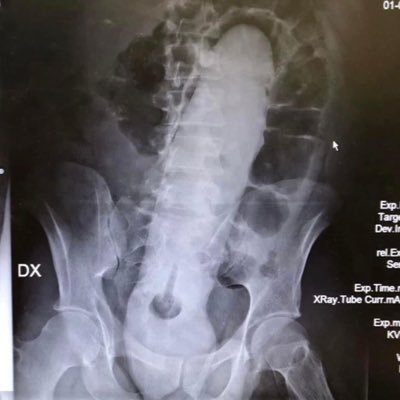 DevilsLunchBox's profile picture. 