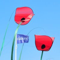 Merville-Franceville (@mervillefrplage) 's Twitter Profile Photo Merville-Franceville (@mervillefrplage) 's Twitter Profile Photo