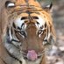 rurukshu (@raghuj30076739) Twitter profile photo rurukshu (@raghuj30076739) Twitter profile photo