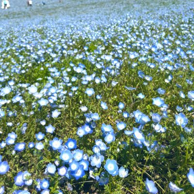 R5春🌸/1児の母🐰/育休中/ゆる知育/ゆるおうち英語/中古WWK/Goomies/駐在帯同/無言フォロー失礼します/時々乃木オタ発動🟣