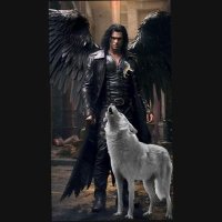 lobo (@javier877522714) 's Twitter Profile