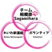 れいわ新選組🐾チーム相模原 (@teamsagamihara) Twitter profile photo