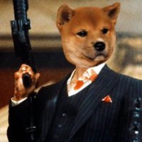Honda Updog (@ayohonda101) 's Twitter Profile Photo