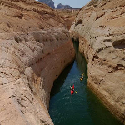 BachanaJena's profile picture. 