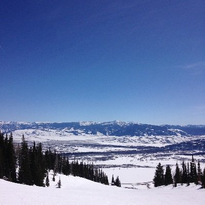 gogetter4679's profile picture. hobby page where I post links to readings of cool stuff