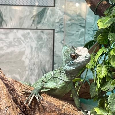 Elena536808263's profile picture. 