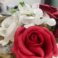 نـ نون بضم الـنون (@noon2_7n) 's Twitter Profile