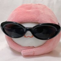 모찌훈 (@mochimochi_hoon) 's Twitter Profile