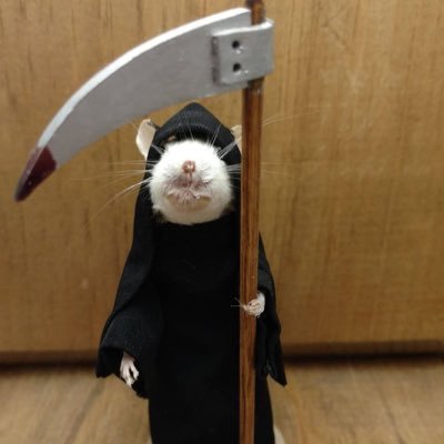 pierete_'s profile picture. 