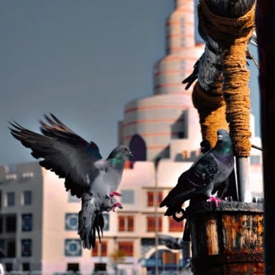 Abdibasit_muse_'s profile picture. SOMALIA SOMALI BAA LEH