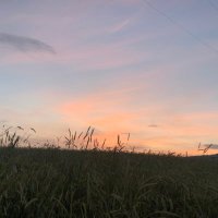 Safak Kilictepe 🌱 (@safakkilictepe) 's Twitter Profile