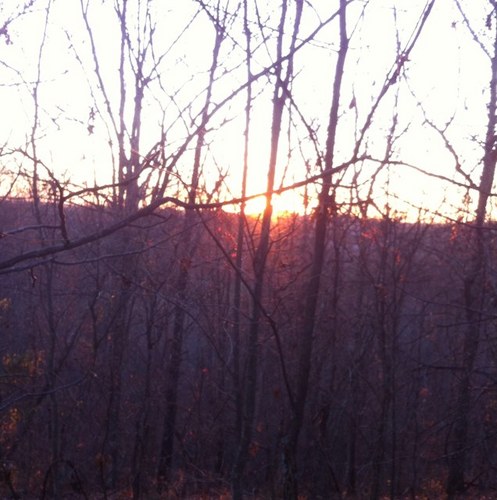 kybowhntr's profile picture. 