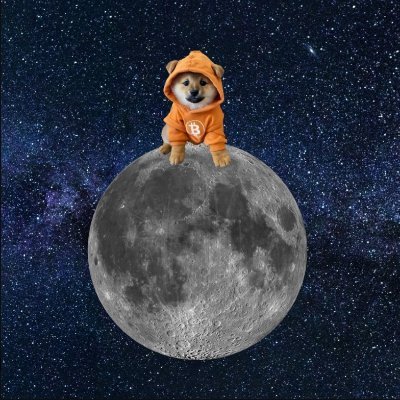 d_derekmelft's profile picture. The ticker is $DOG. Destination - A galaxy far far away.... I missed BTC in the early days, I am not missing the second coming....