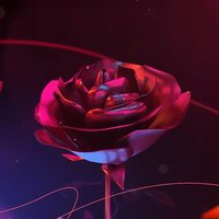 დ.Rose🌹 (@rose_plli) 's Twitter Profile Photo