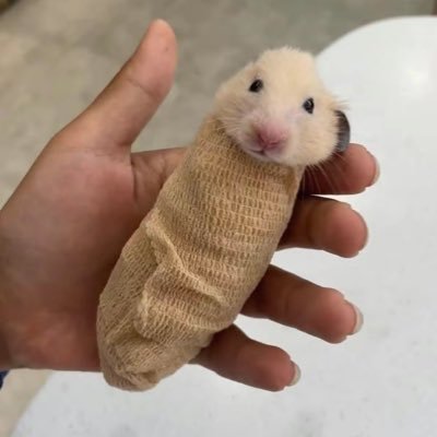 tioprm's profile picture. 