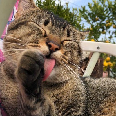 I_am___double_D's profile picture. 