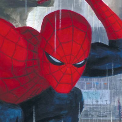 18 he/him | i like the shocker and hobgoblin (and spider-man is cool too ig) follow my twitch?